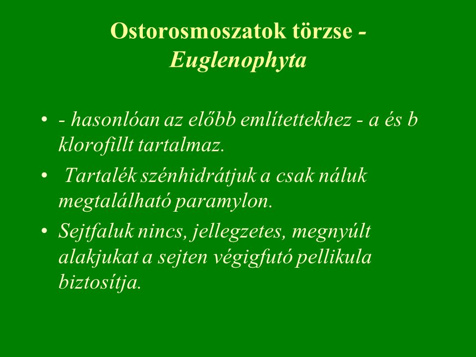 Ostorosmoszatok törzse - Euglenophyta