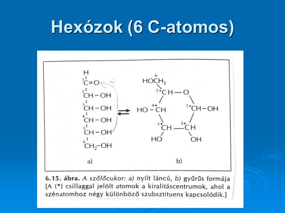 Hexózok (6 C-atomos)