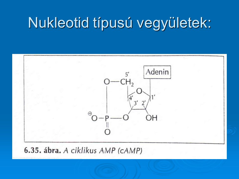 Nukleotid típusú vegyületek: