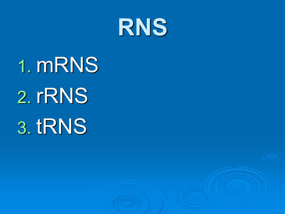 RNS mRNS rRNS tRNS