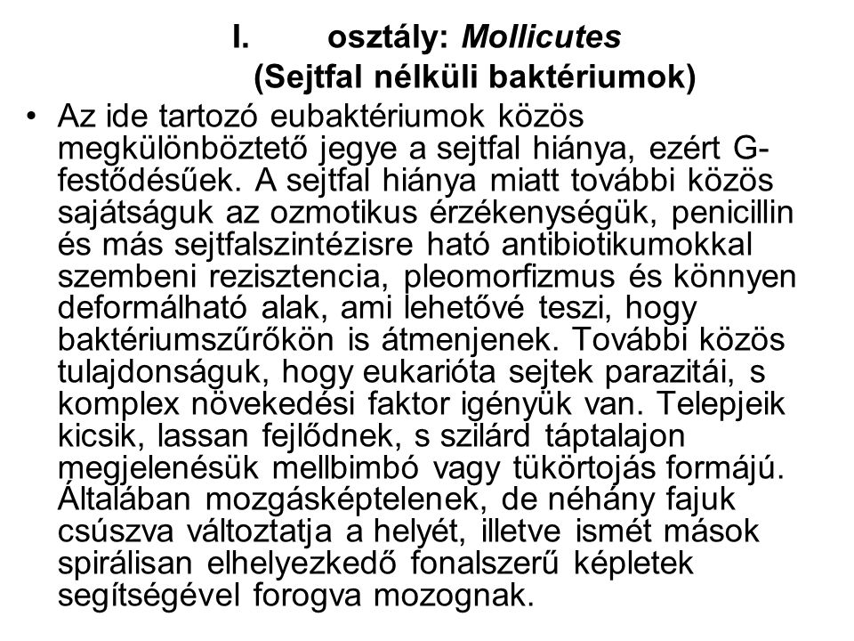 osztály: Mollicutes (Sejtfal nélküli baktériumok)