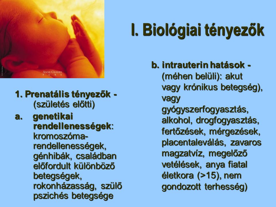 I. Biológiai tényezők 1. Prenatális tényezők - (születés előtti)