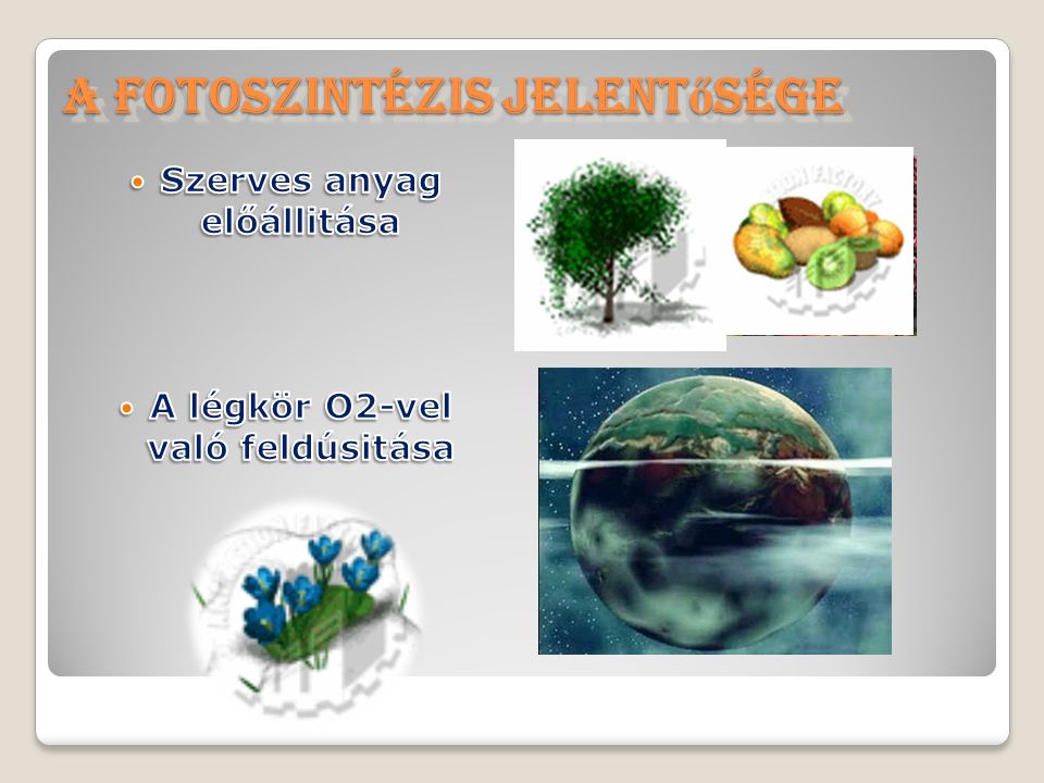 A fotoszintézis jelentősége
