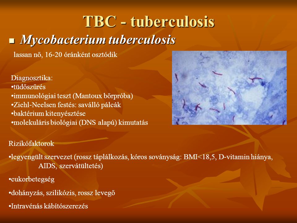 TBC - tuberculosis Mycobacterium tuberculosis
