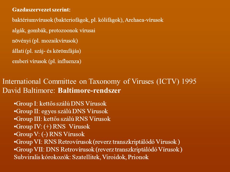 International Committee on Taxonomy of Viruses (ICTV) 1995
