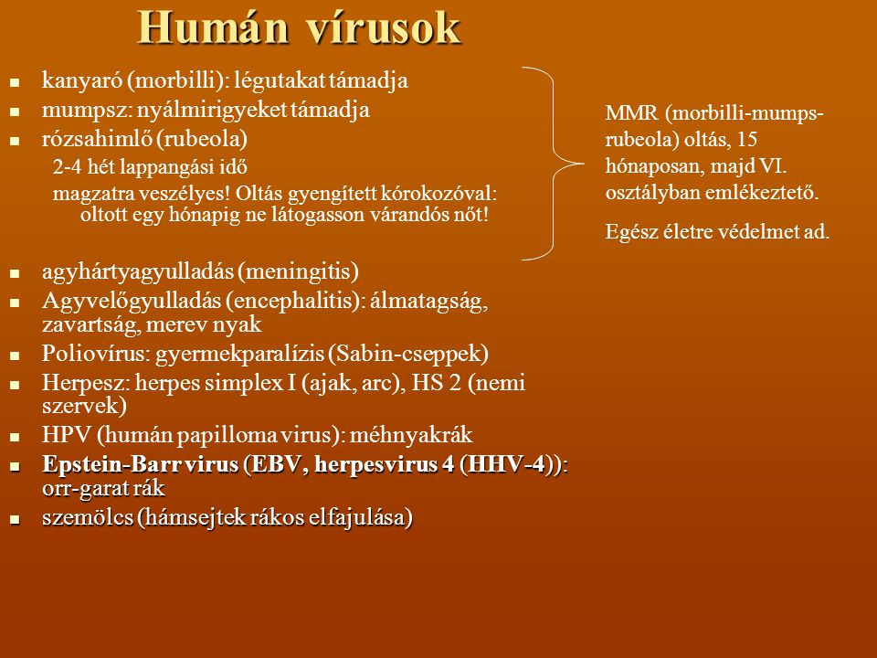 Humán vírusok kanyaró (morbilli): légutakat támadja