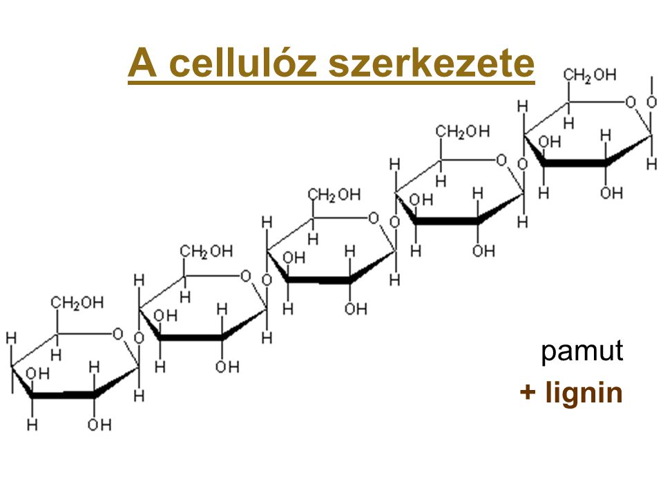 A cellulóz szerkezete pamut + lignin