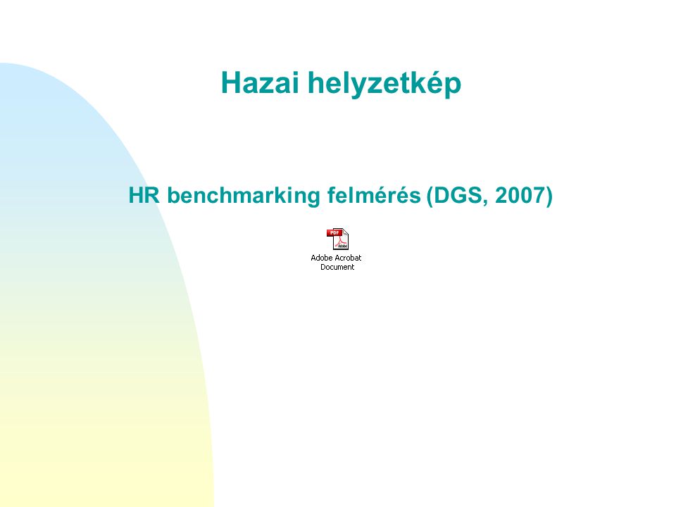 HR benchmarking felmérés (DGS, 2007)