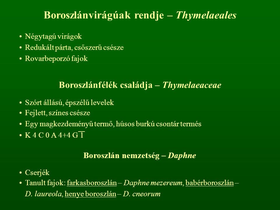 Boroszlánvirágúak rendje – Thymelaeales