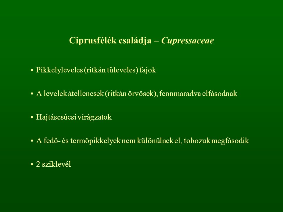 Ciprusfélék családja – Cupressaceae
