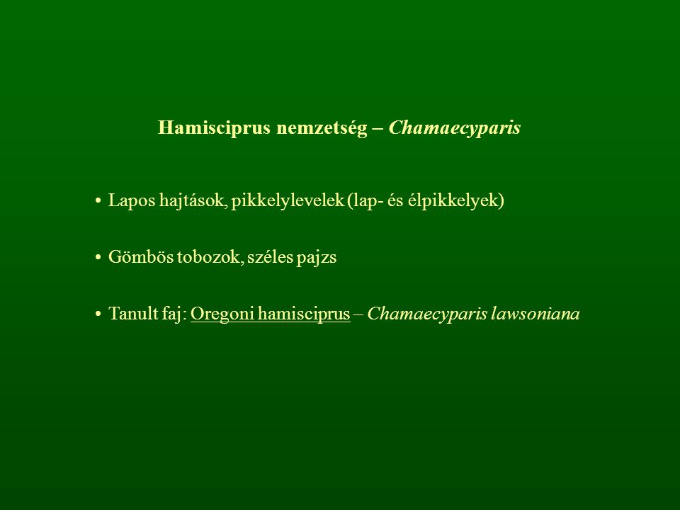 Hamisciprus nemzetség – Chamaecyparis