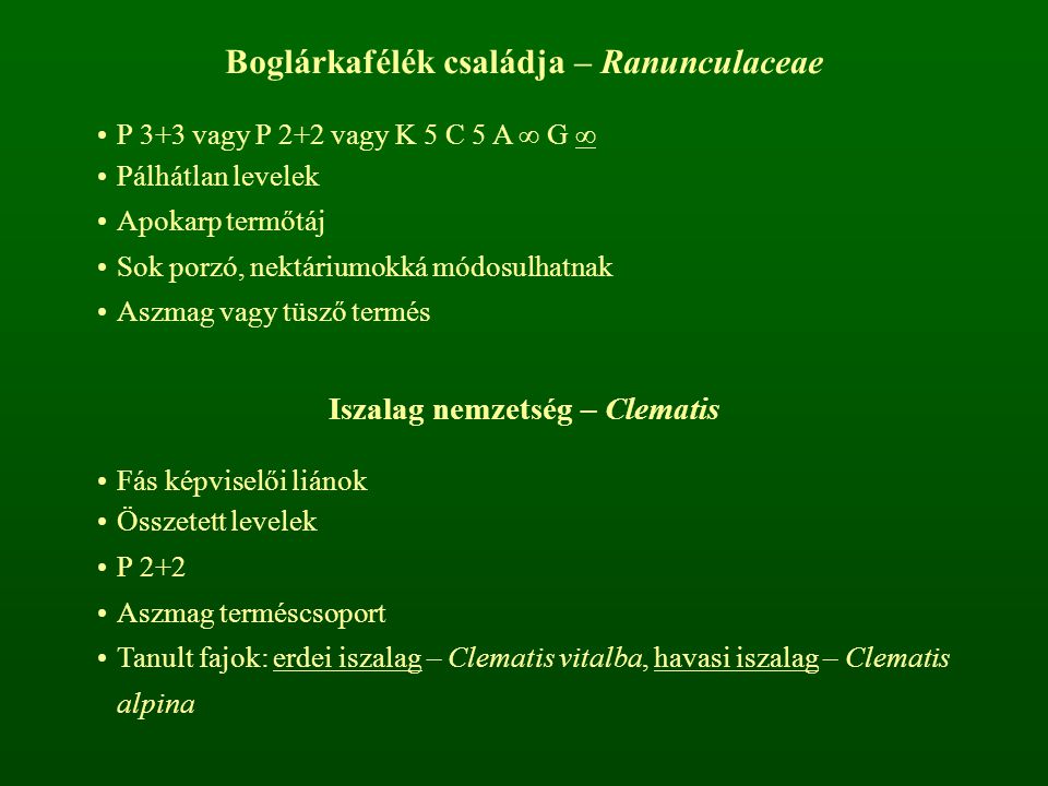 Boglárkafélék családja – Ranunculaceae Iszalag nemzetség – Clematis