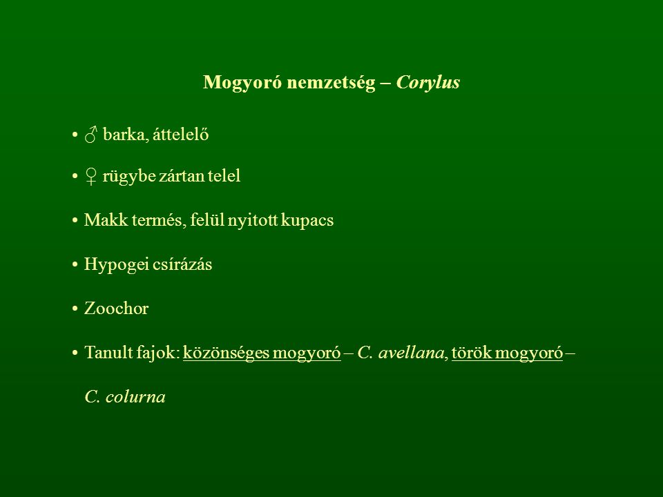 Mogyoró nemzetség – Corylus