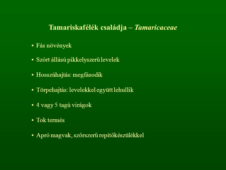 Tamariskafélék családja – Tamaricaceae