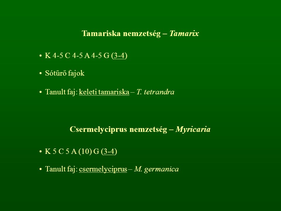 Tamariska nemzetség – Tamarix Csermelyciprus nemzetség – Myricaria