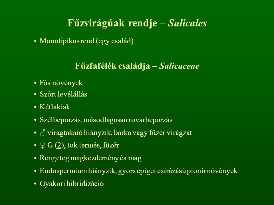 Fűzvirágúak rendje – Salicales Fűzfafélék családja – Salicaceae