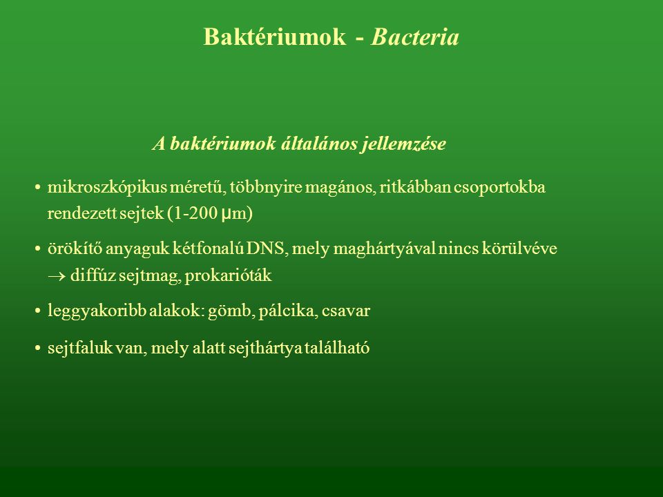 Baktériumok - Bacteria A baktériumok általános jellemzése