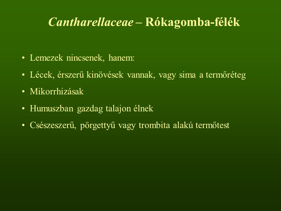 Cantharellaceae – Rókagomba-félék