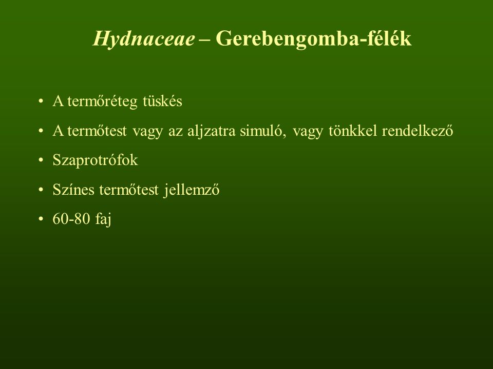 Hydnaceae – Gerebengomba-félék