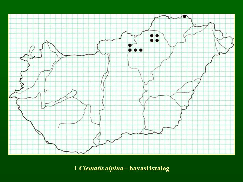 + Clematis alpina – havasi iszalag