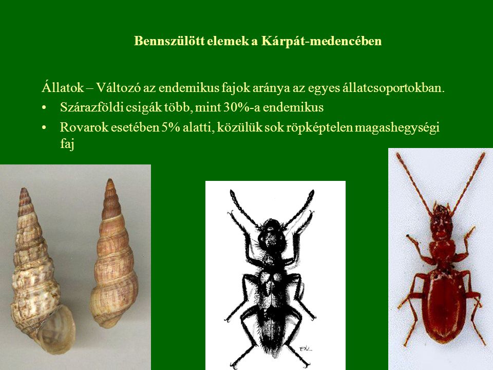 endemikus a rovarok számára)