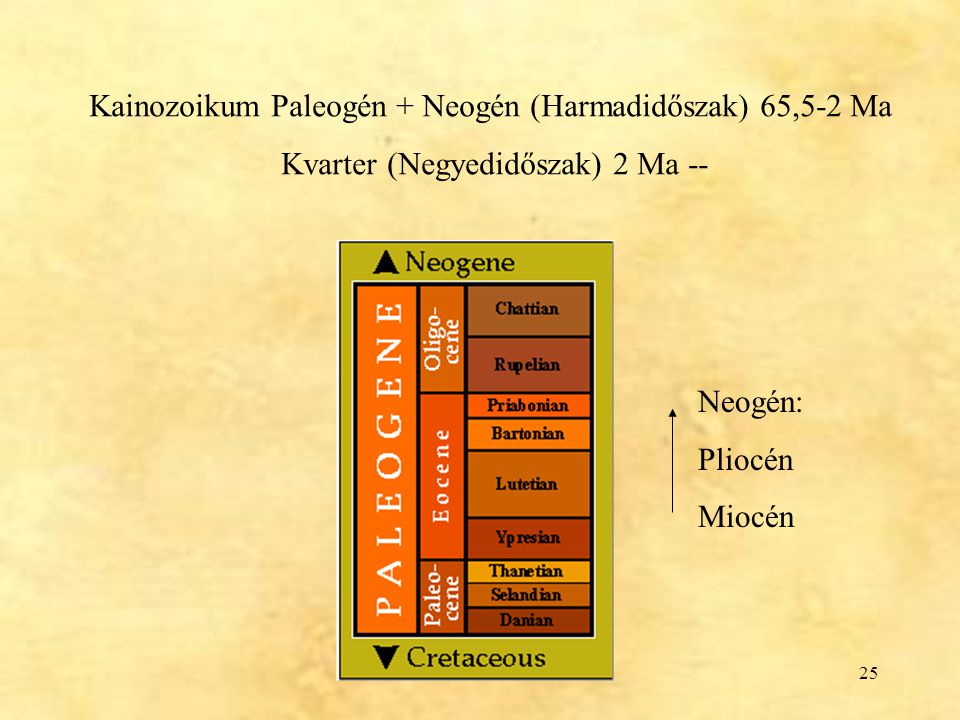 Kainozoikum Paleogén + Neogén (Harmadidőszak) 65,5-2 Ma