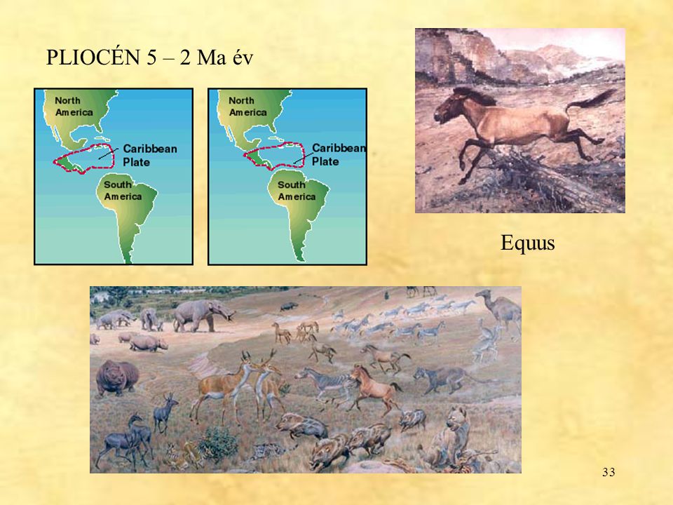 PLIOCÉN 5 – 2 Ma év Equus