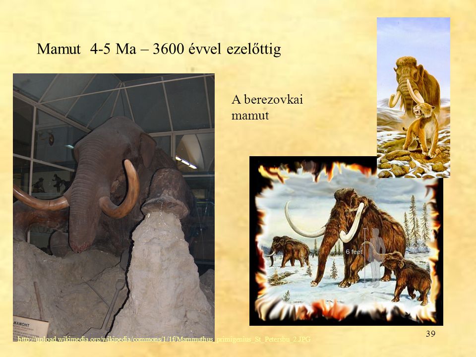 Mamut 4-5 Ma – 3600 évvel ezelőttig