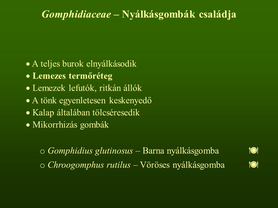 Gomphidiaceae – Nyálkásgombák családja
