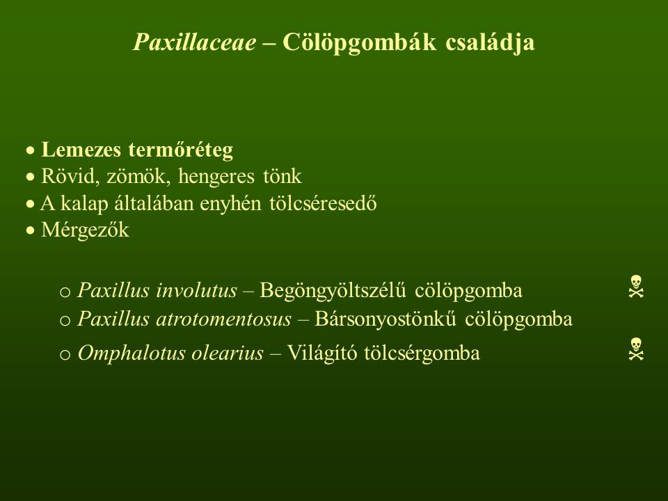 Paxillaceae – Cölöpgombák családja