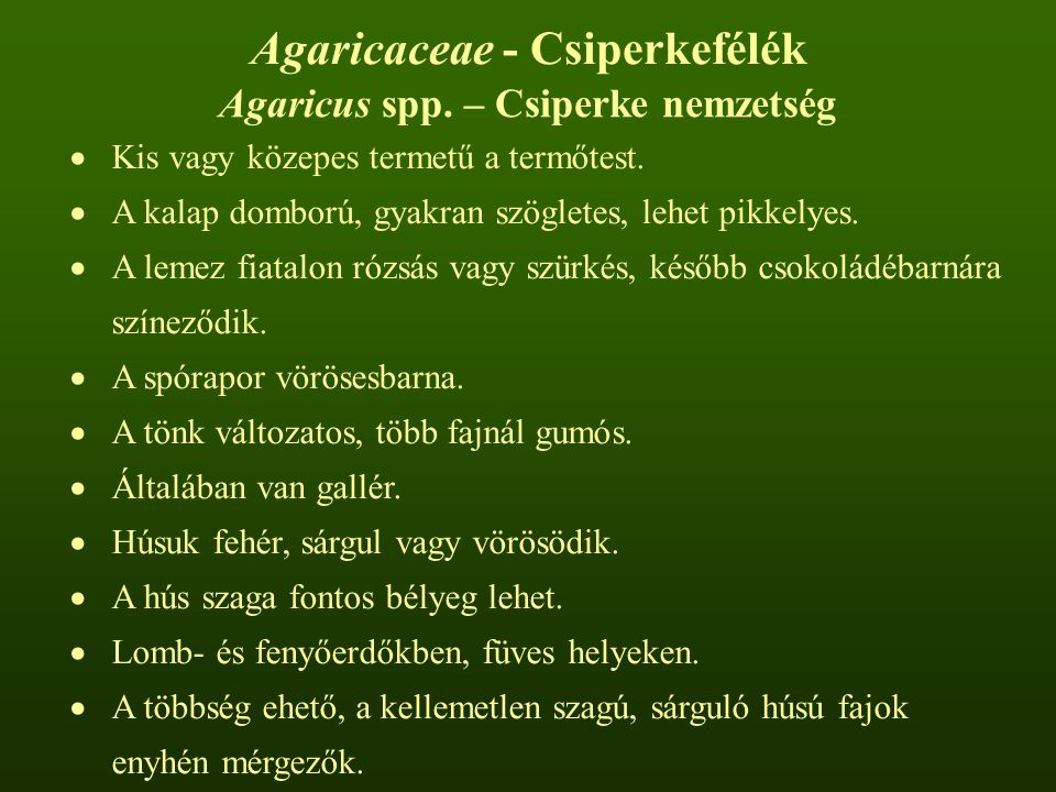 Agaricaceae - Csiperkefélék Agaricus spp. – Csiperke nemzetség