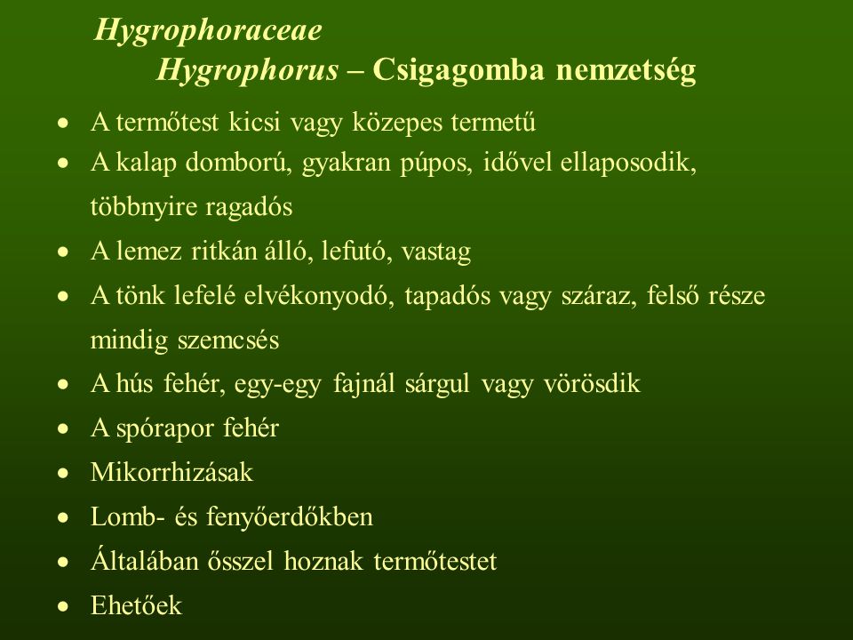 Hygrophorus – Csigagomba nemzetség