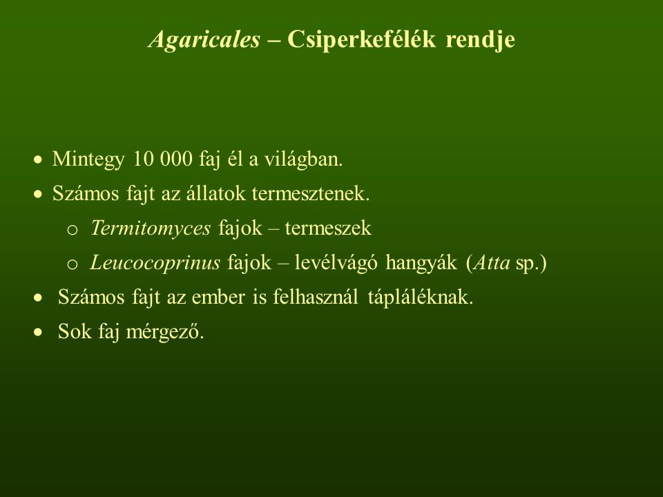 Agaricales – Csiperkefélék rendje