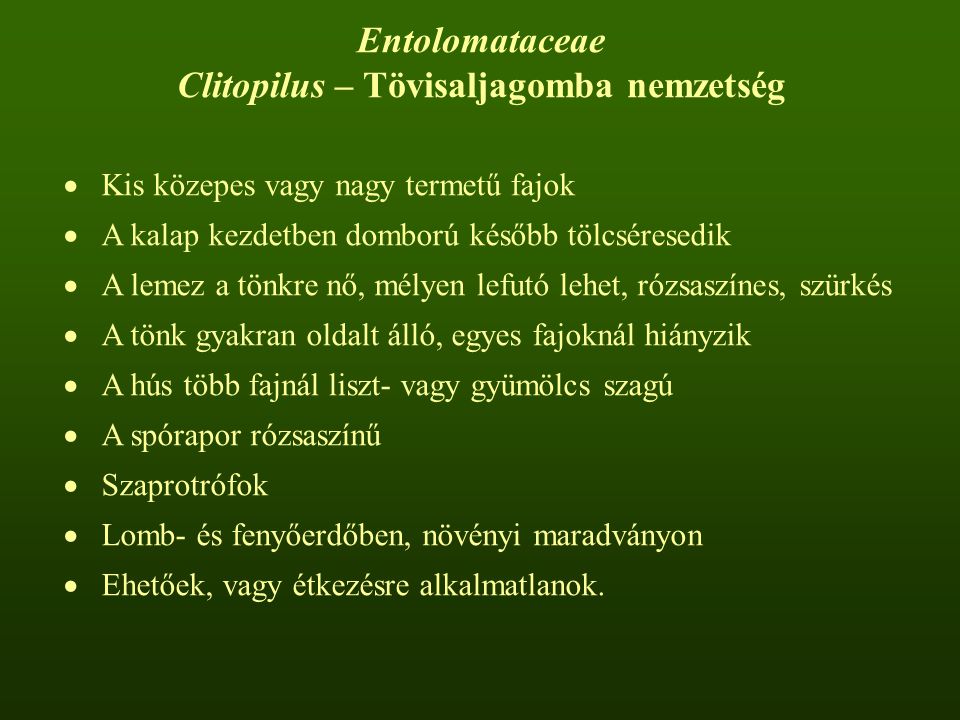 Clitopilus – Tövisaljagomba nemzetség