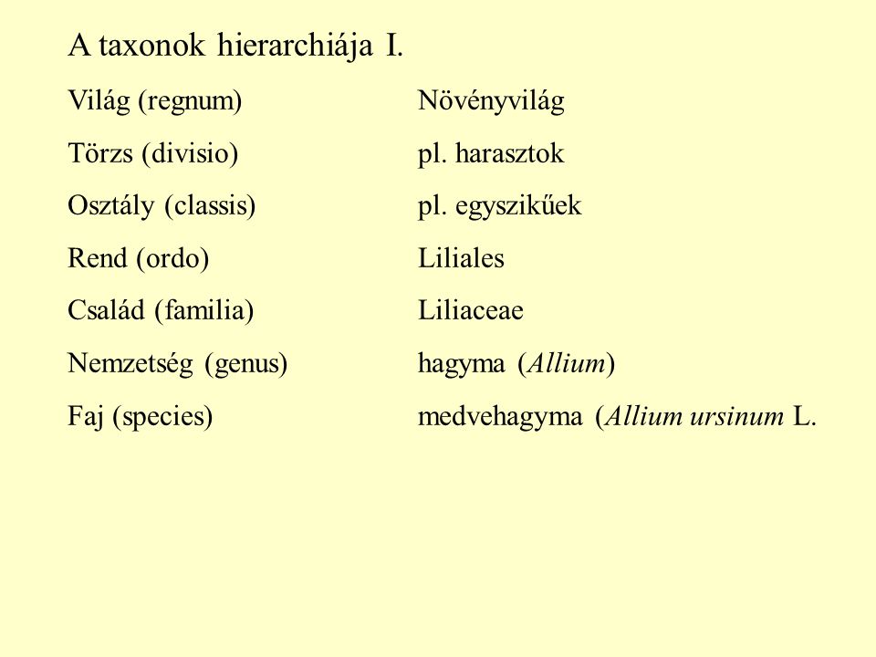 A taxonok hierarchiája I.