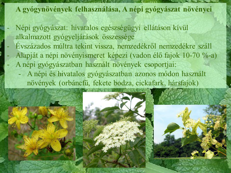 gyógynövények a prosztatitis jeleihez)