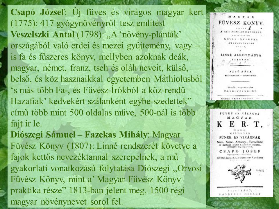 Csapó József: Új füves és virágos magyar kert (1775): 417 gyógynövényről tesz említést