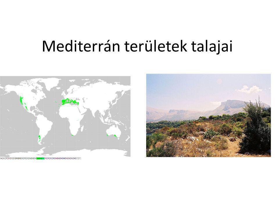 Mediterrán területek talajai