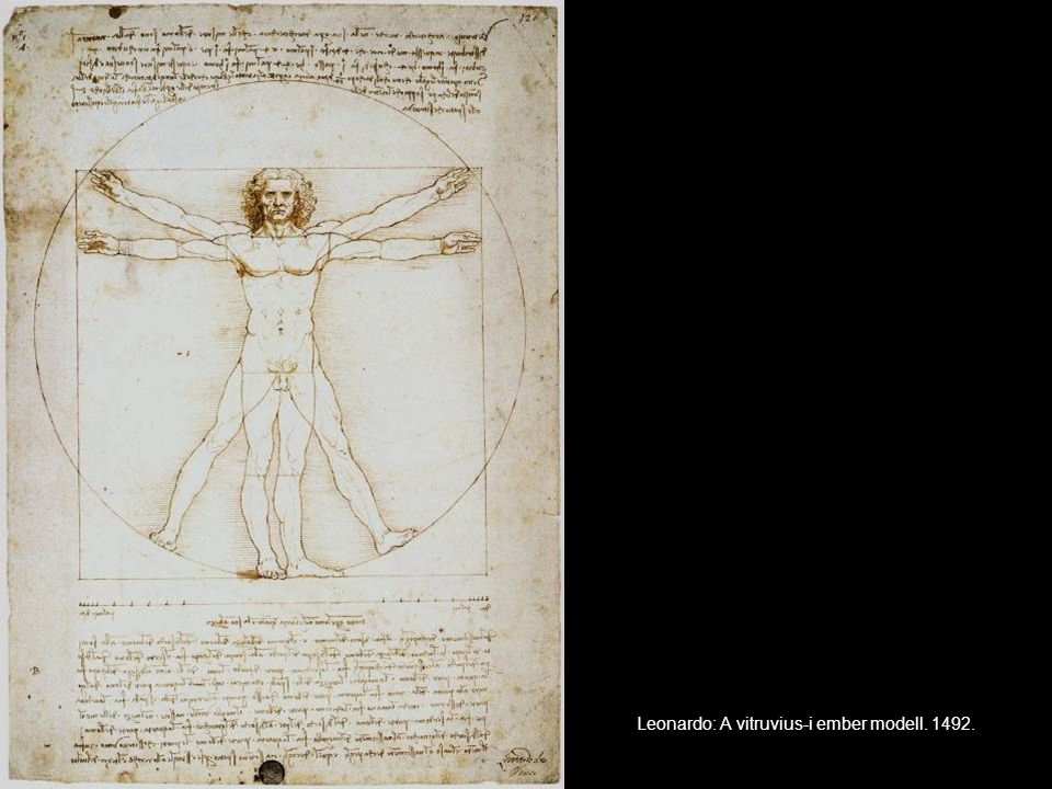 Leonardo: A vitruvius-i ember modell