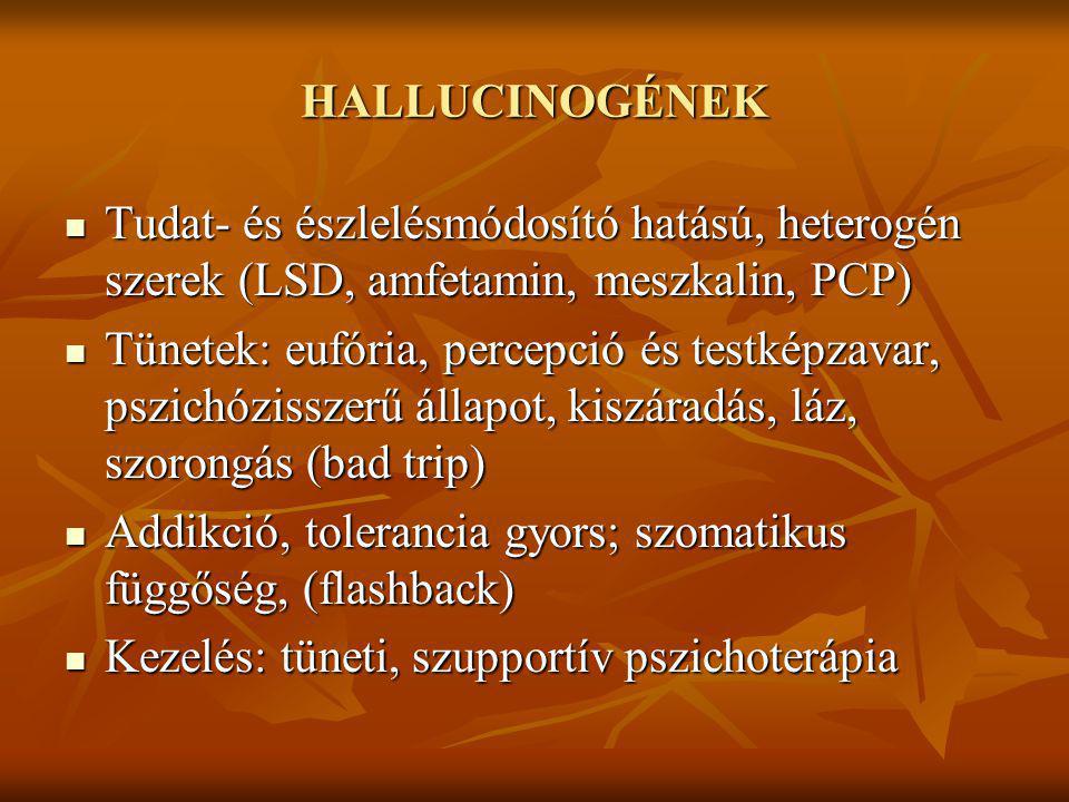 HALLUCINOGÉNEK Tudat- és észlelésmódosító hatású, heterogén szerek (LSD, amfetamin, meszkalin, PCP)
