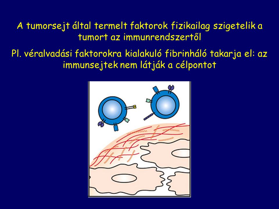 A tumorsejt által termelt faktorok fizikailag szigetelik a tumort az immunrendszertől