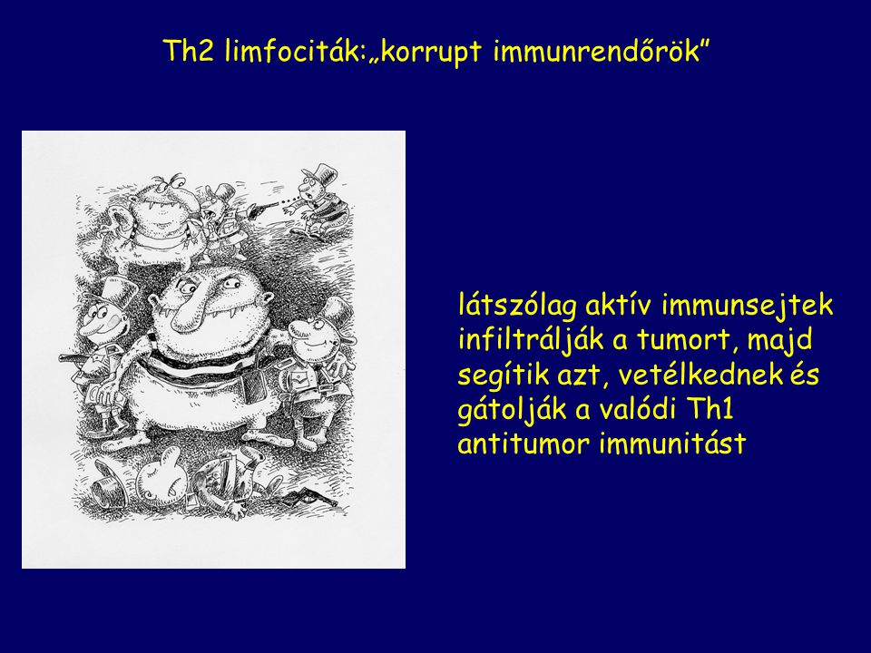 Th2 limfociták:„korrupt immunrendőrök