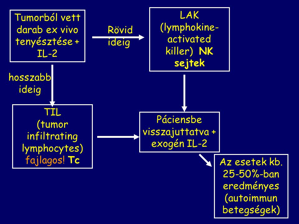 LAK (lymphokine-activated killer) NK sejtek
