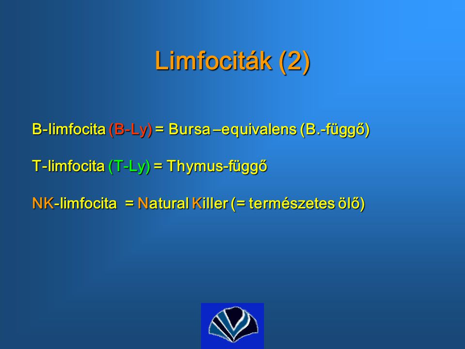 Limfociták (2) B-limfocita (B-Ly) = Bursa –equivalens (B.-függő)