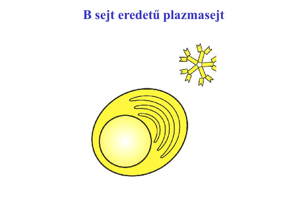 B sejt eredetű plazmasejt