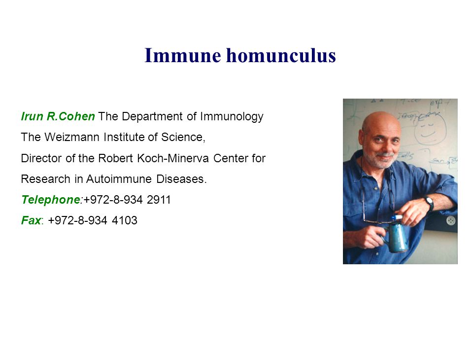Immune homunculus Irun R.Cohen The Department of Immunology