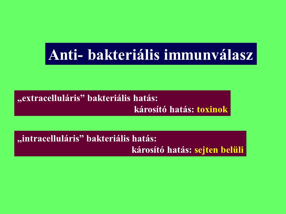 Anti- bakteriális immunválasz