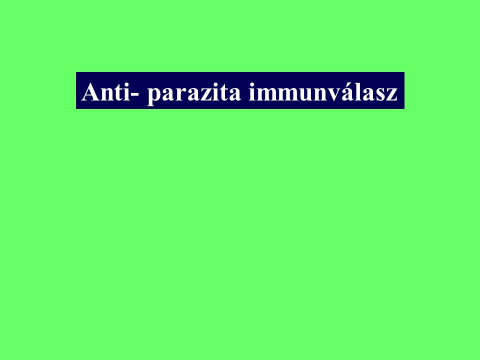 Anti- parazita immunválasz