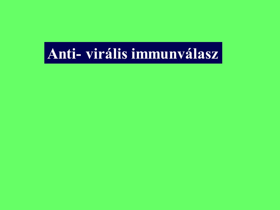 Anti- virális immunválasz