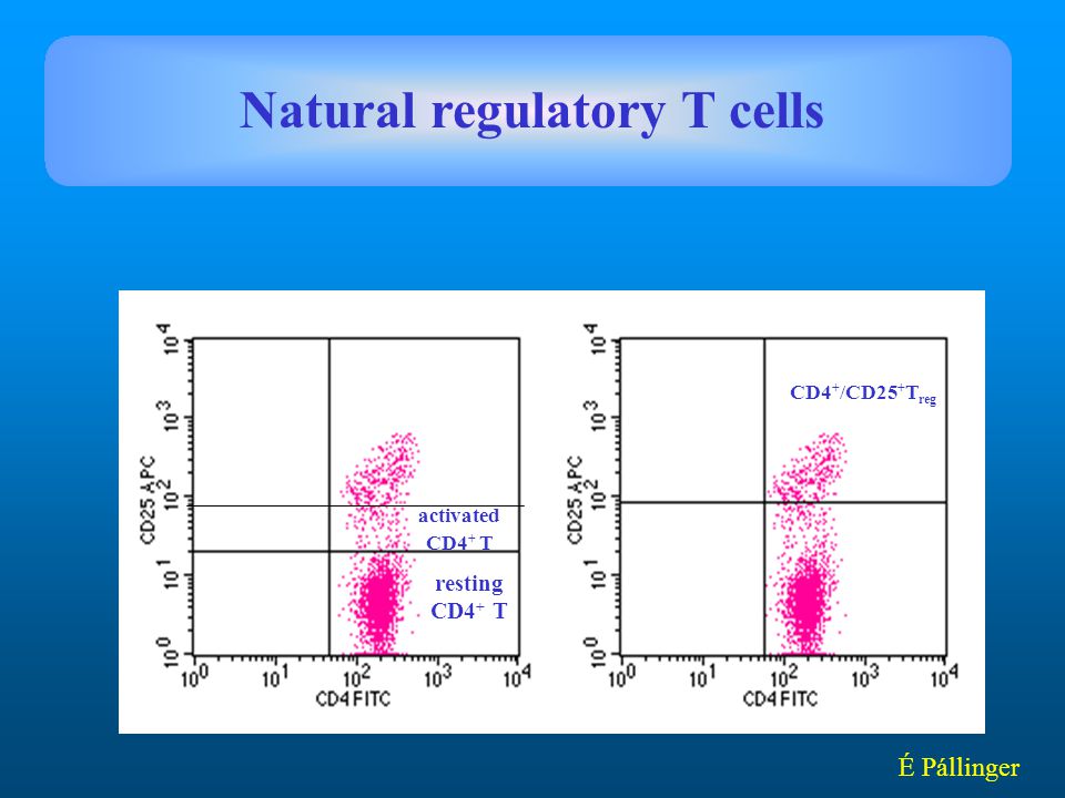 Natural regulatory T cells